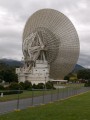 0320-1449 Deep Space Complex  main dish (3207713)